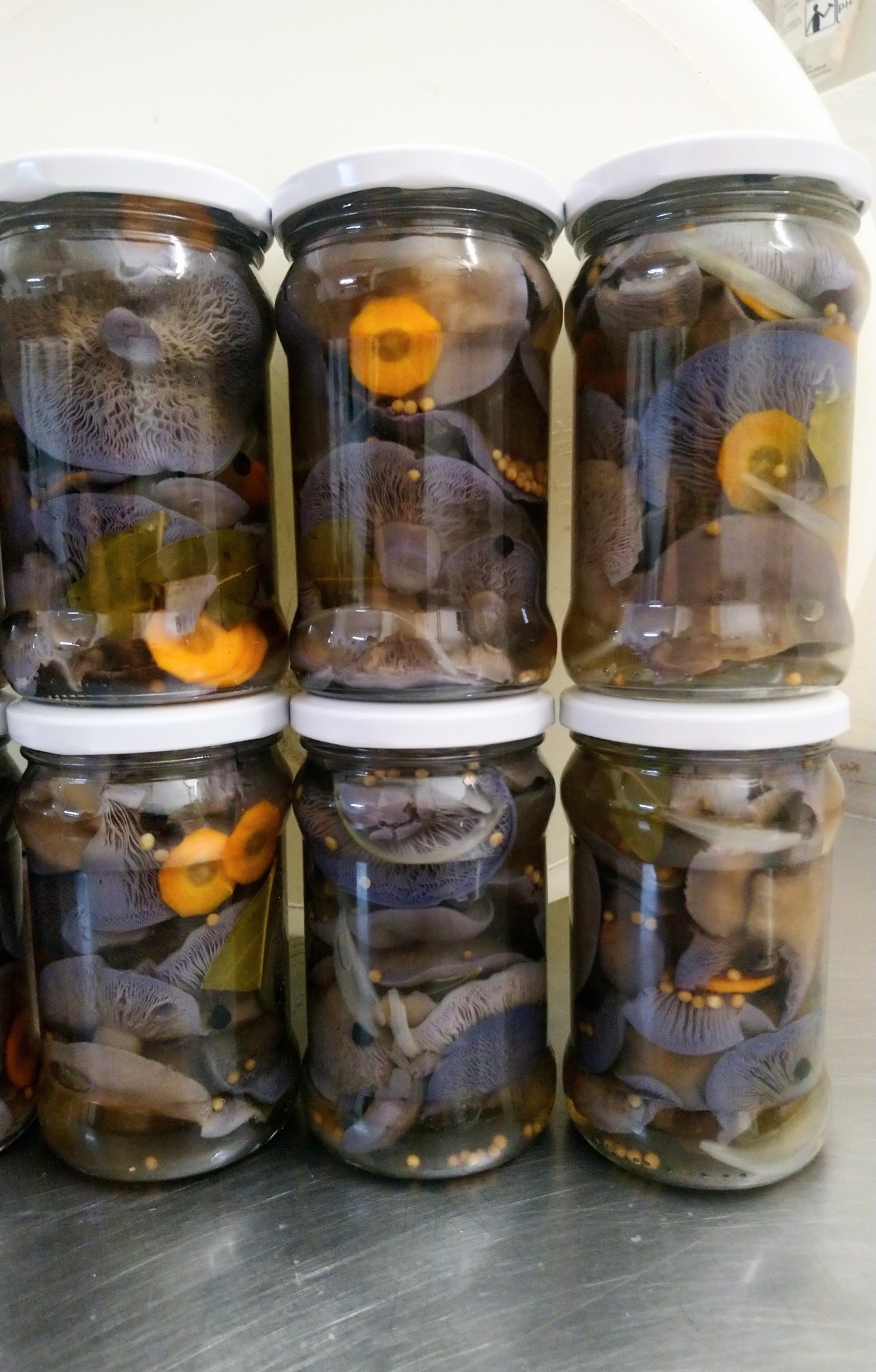 Gąsówka marynowana